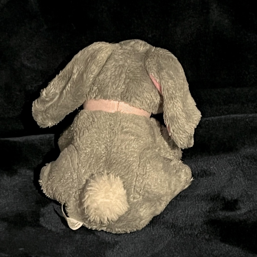 Bunny